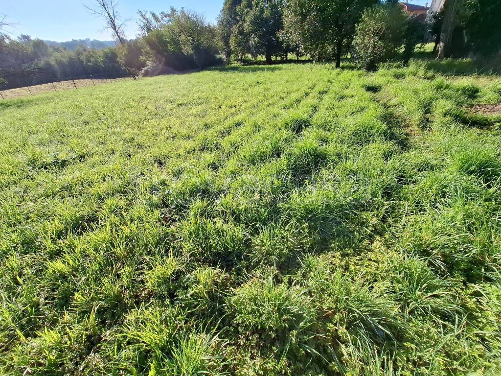 immagine annuncio 3 di 9