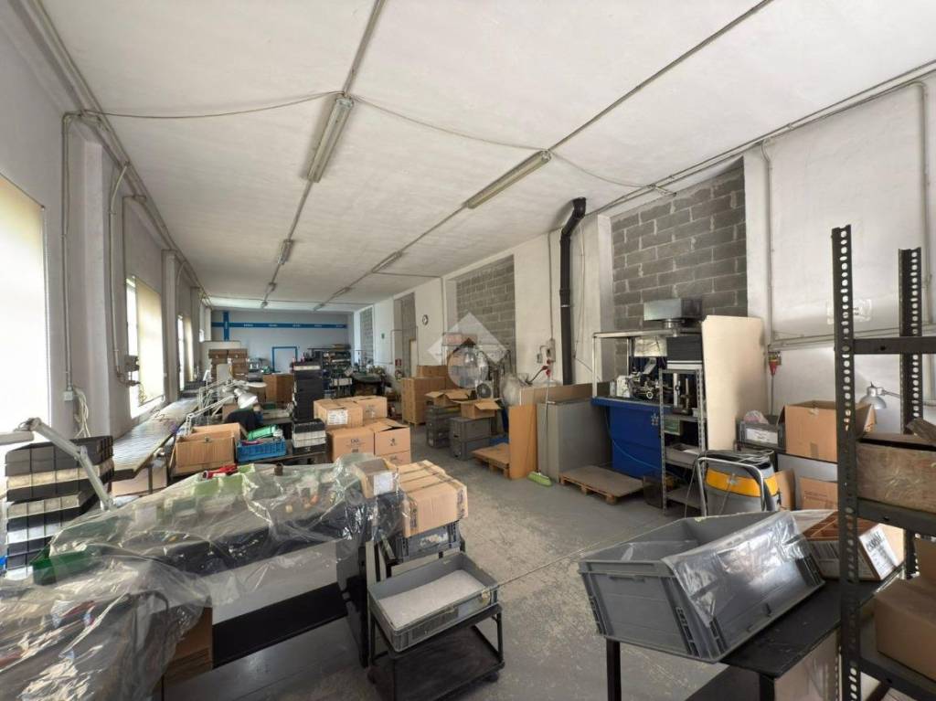 immagine annuncio 3 di 11