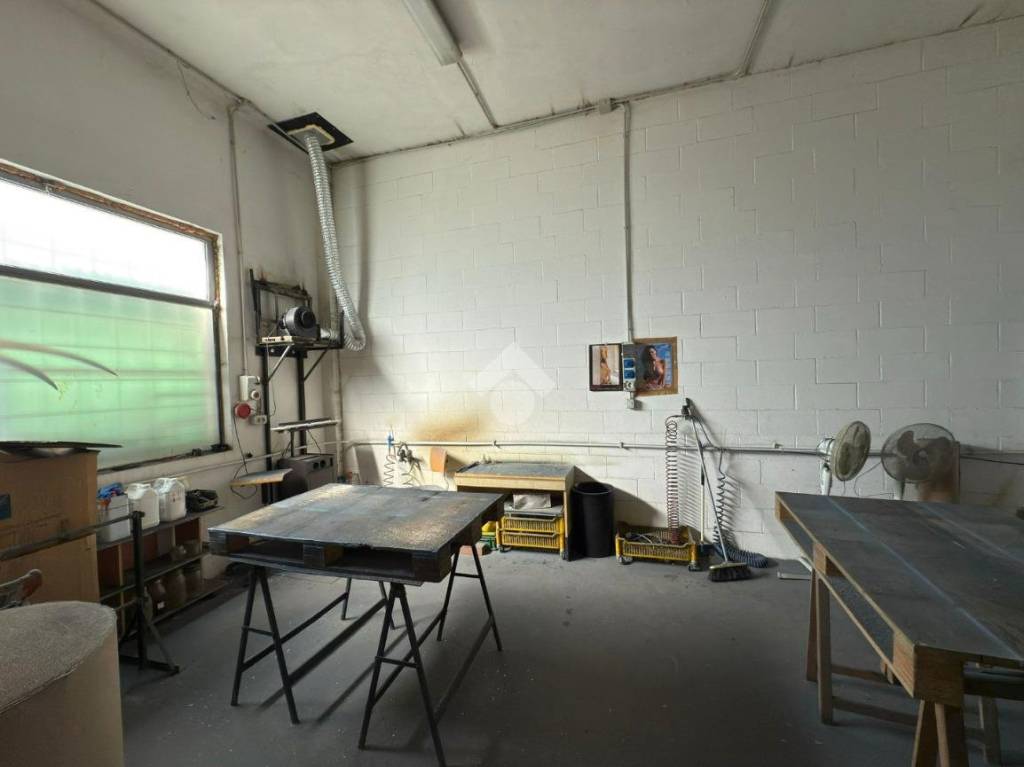 immagine annuncio 5 di 11