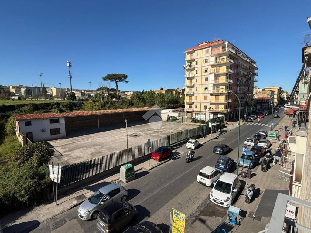 immagine annuncio 6 di 14