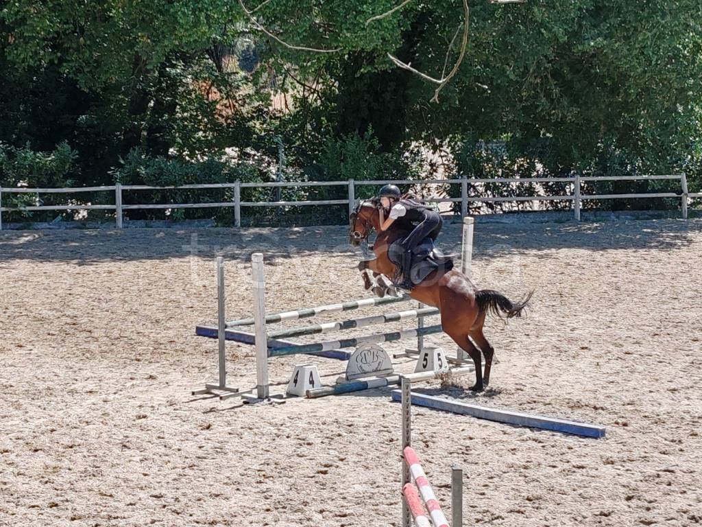 immagine annuncio 6 di 11