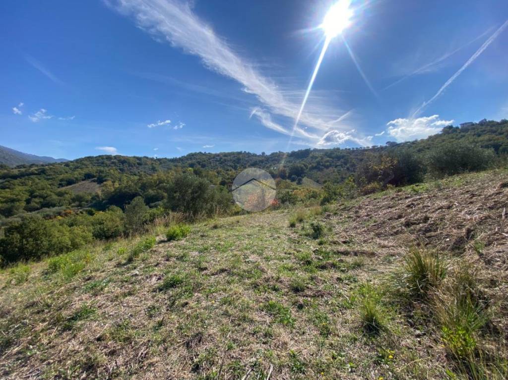 immagine annuncio 11 di 14