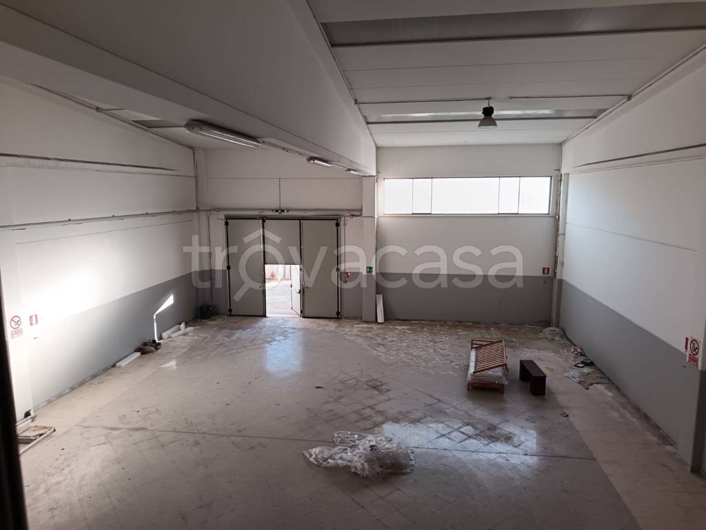 immagine annuncio 2 di 12