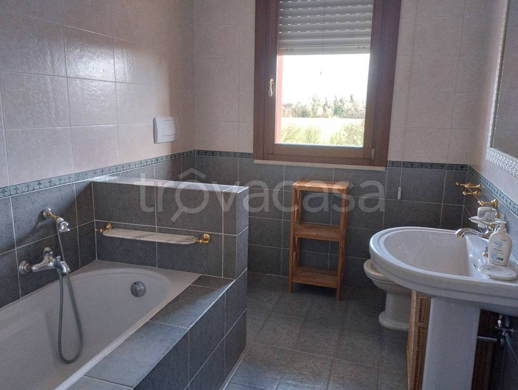 immagine annuncio 4 di 9