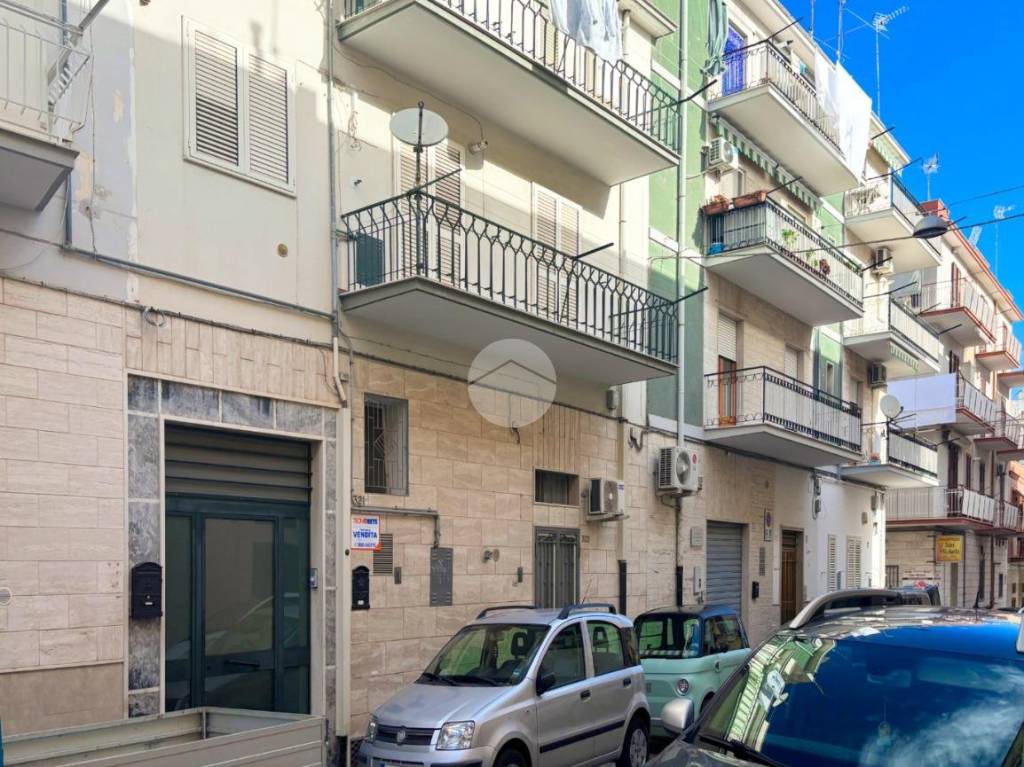 immagine annuncio 5 di 14