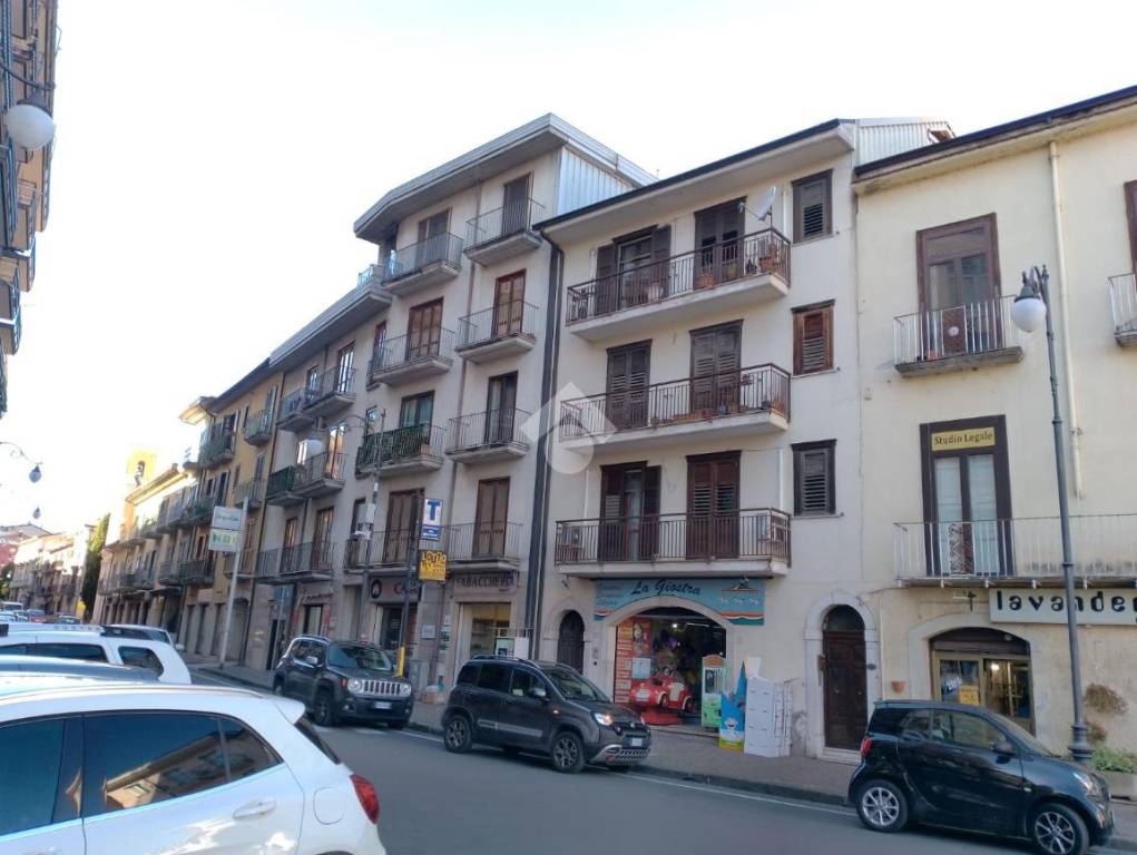 immagine annuncio 5 di 14