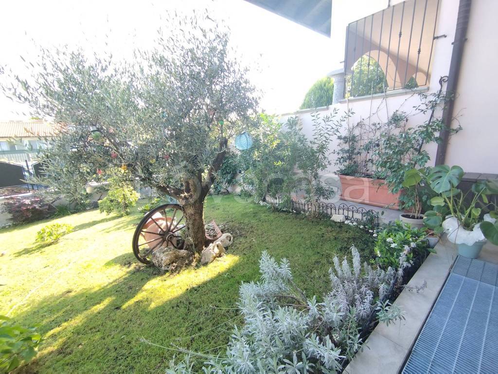 immagine annuncio 4 di 15