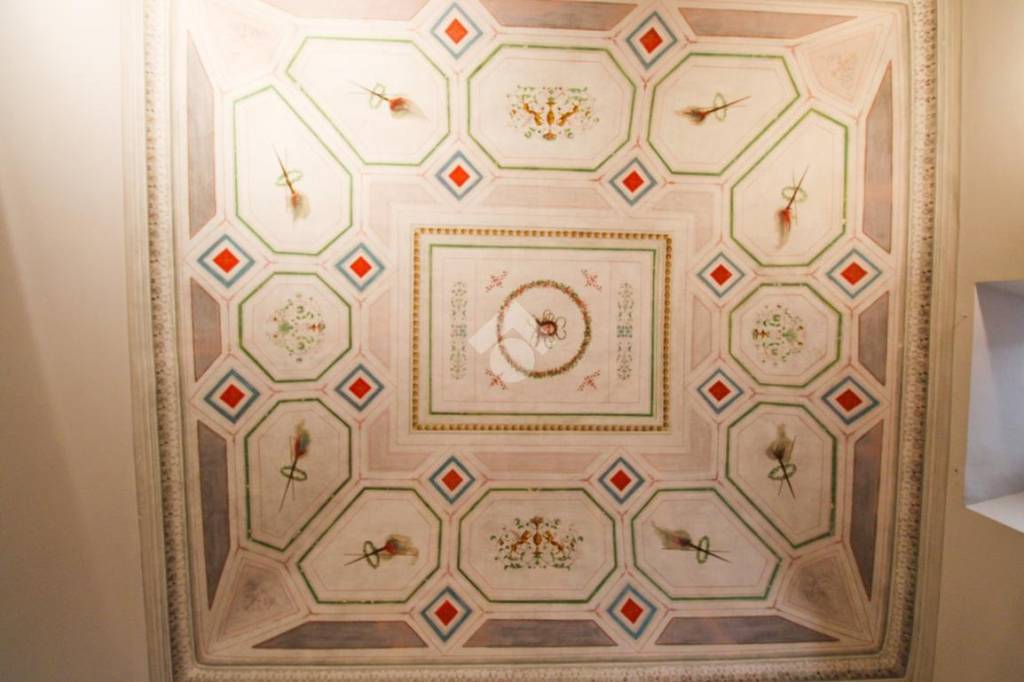 immagine annuncio 6 di 14