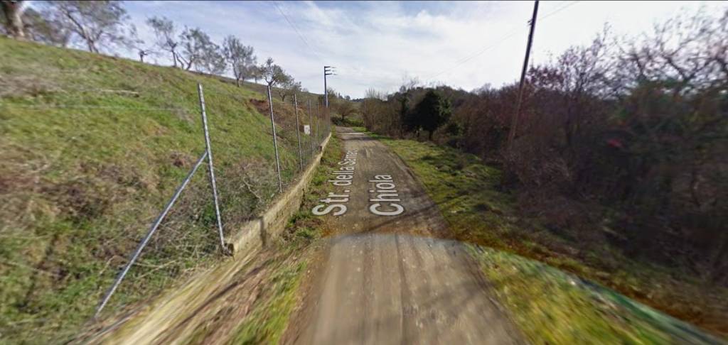 immagine annuncio 6 di 11