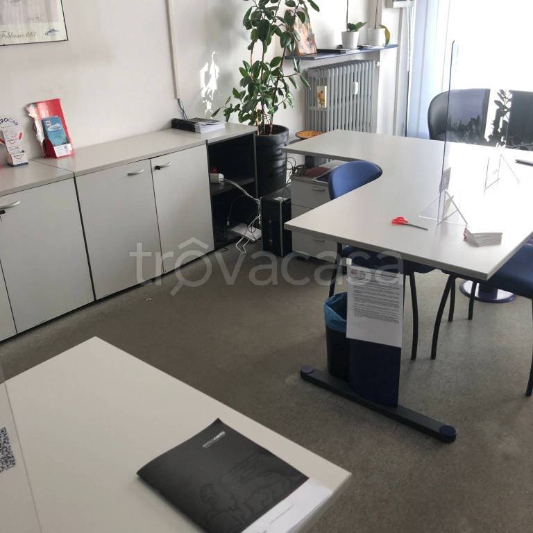 immagine annuncio 5 di 12