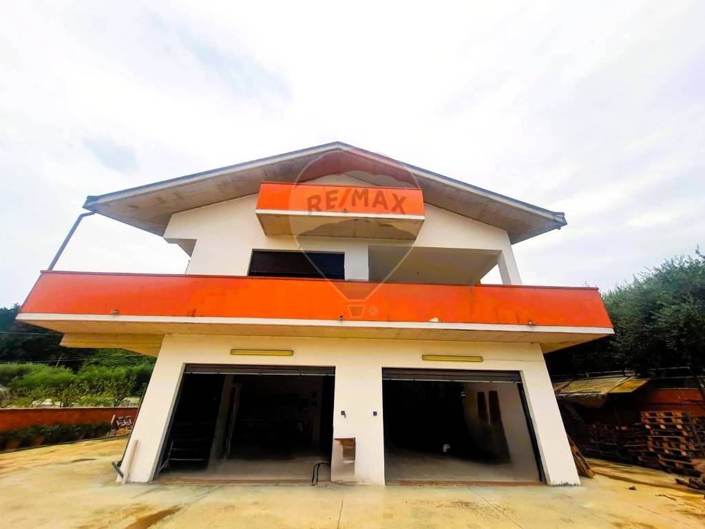 immagine annuncio 1 di 6