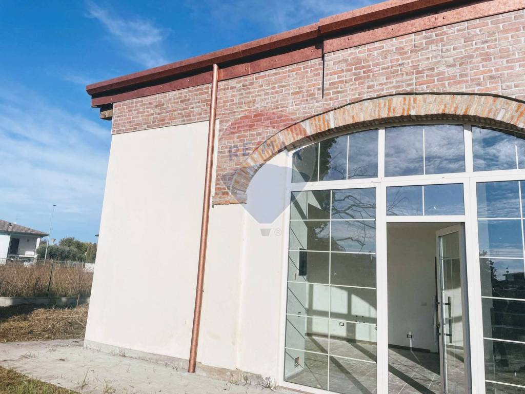 immagine annuncio 7 di 14