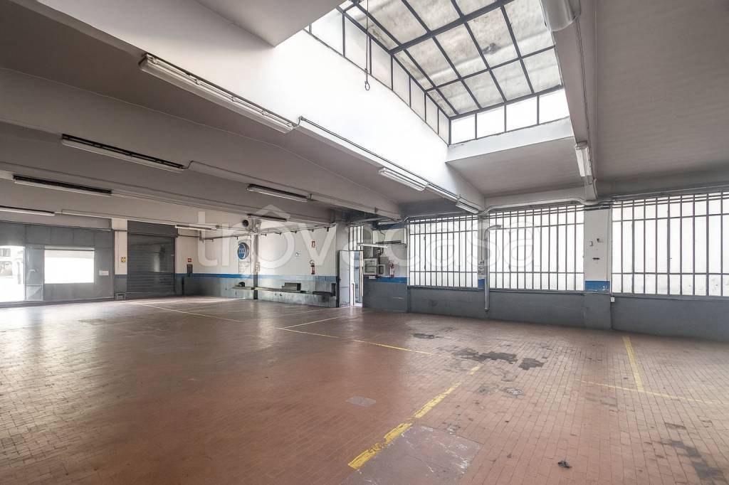 immagine annuncio 10 di 15