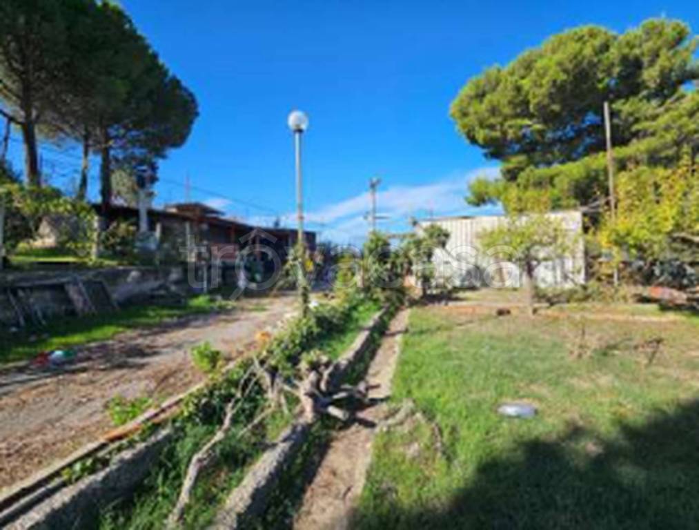 immagine annuncio 5 di 12