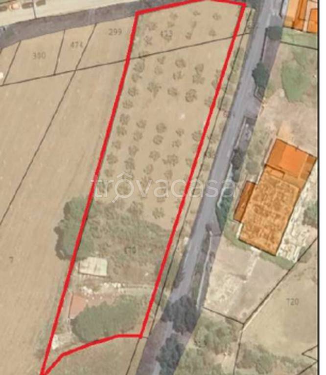 immagine annuncio 9 di 12