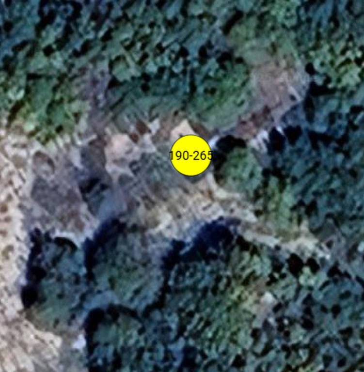 immagine annuncio 10 di 12