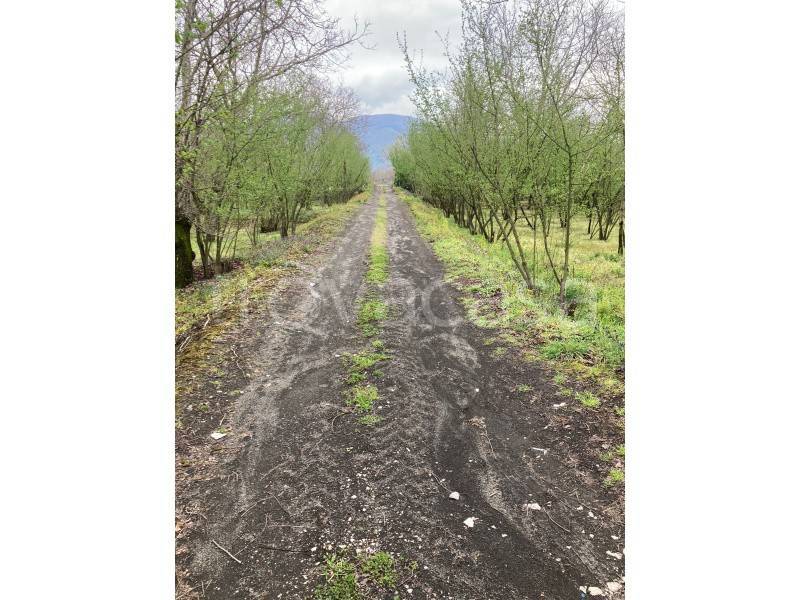 immagine annuncio 1 di 2