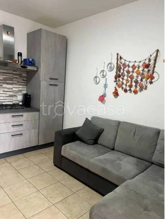 immagine annuncio 5 di 14