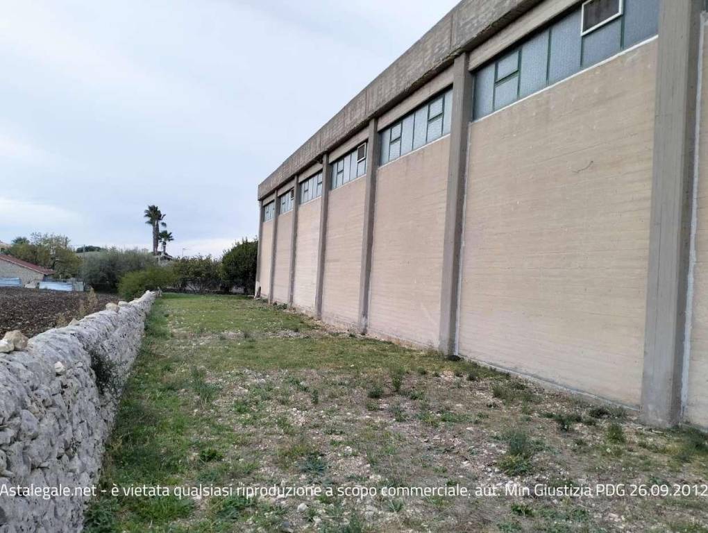 immagine annuncio 4 di 12