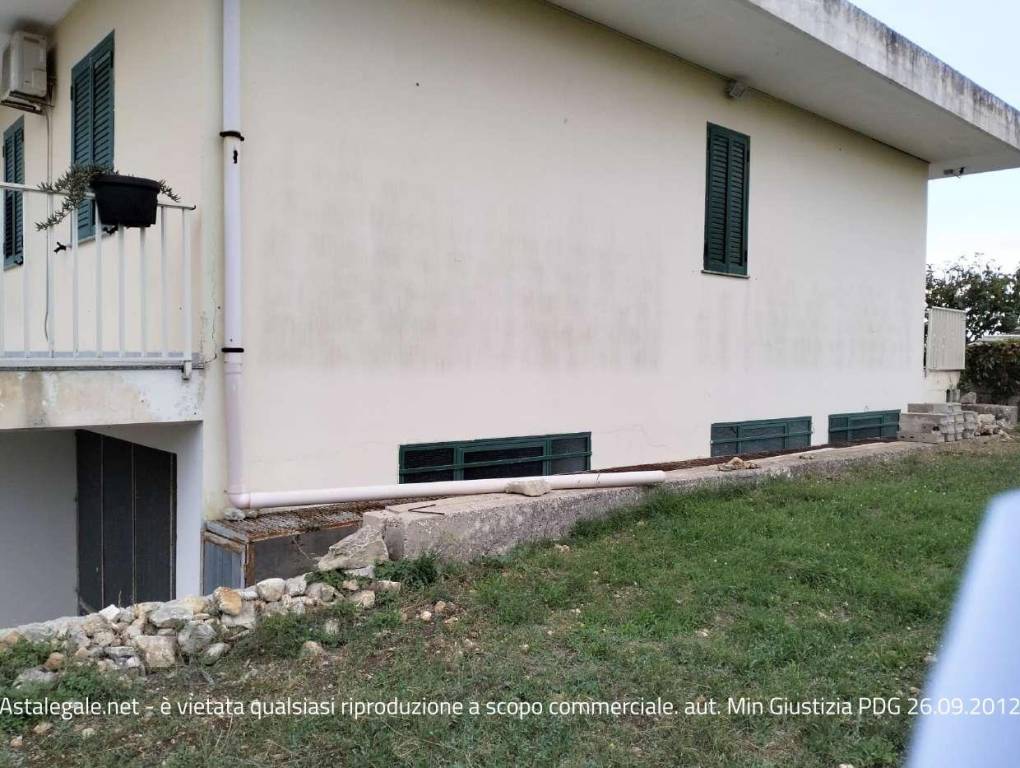 immagine annuncio 11 di 12