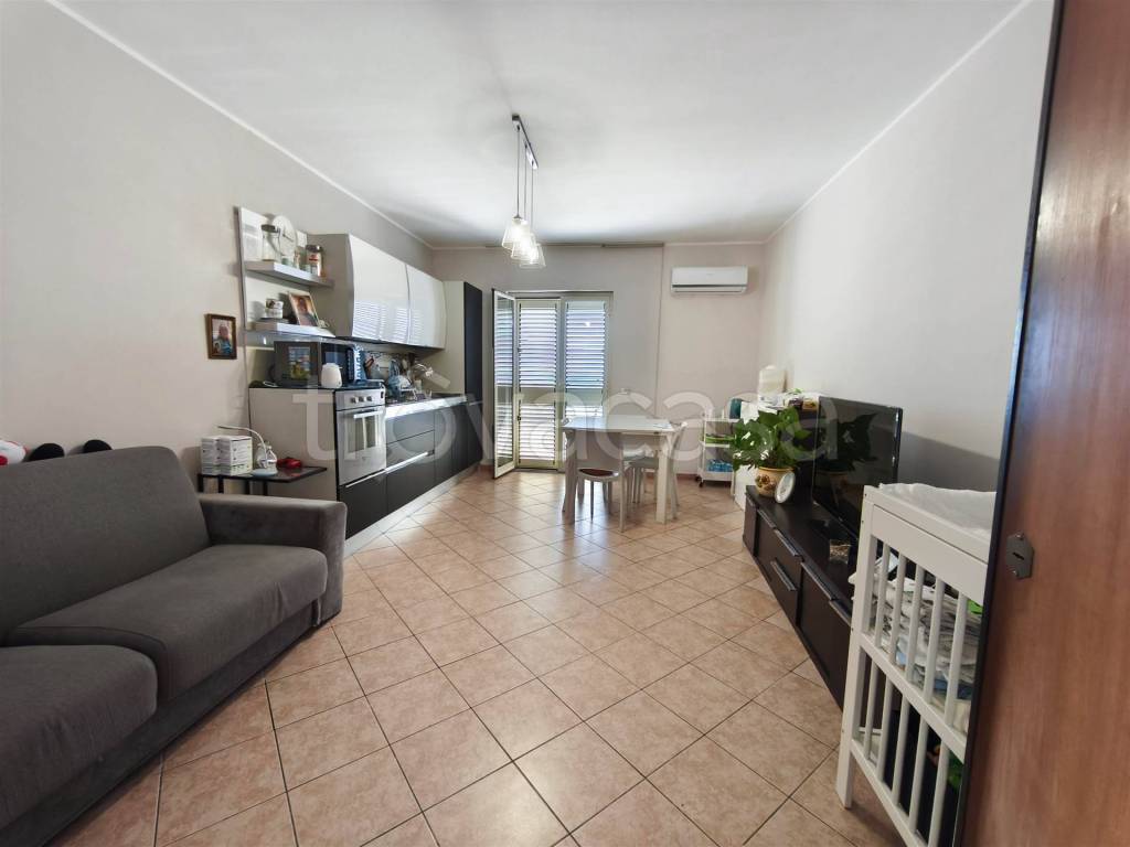 immagine annuncio 3 di 14