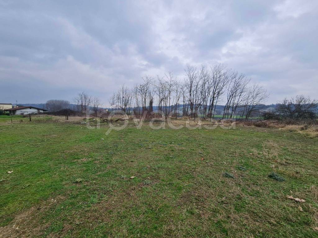 immagine annuncio 4 di 6