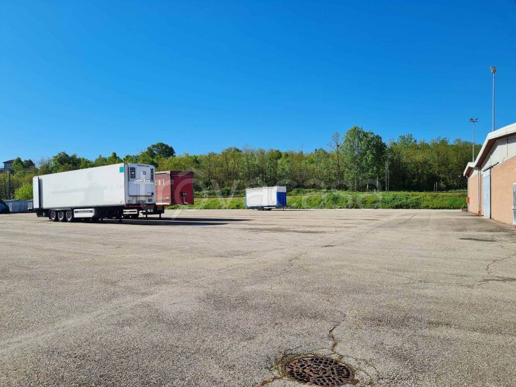 immagine annuncio 3 di 13