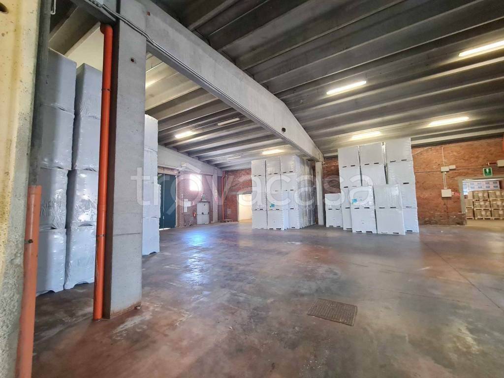 immagine annuncio 7 di 13