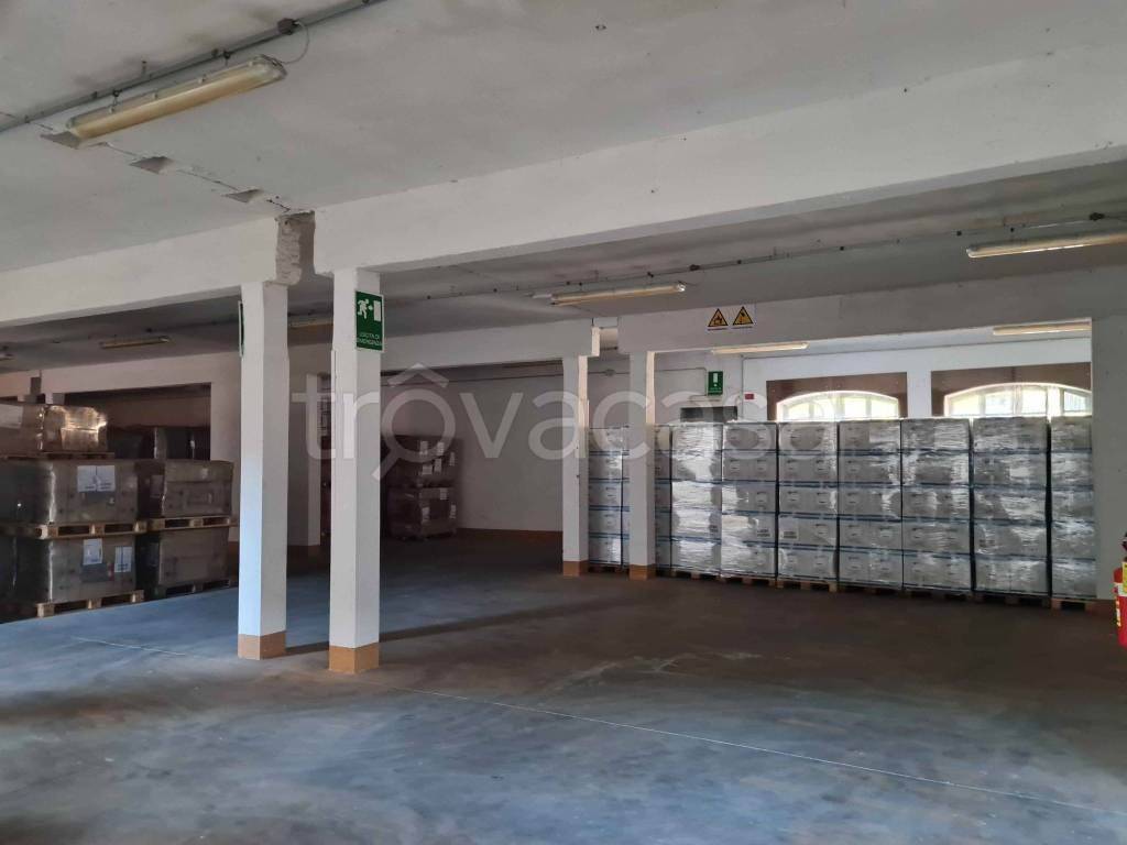 immagine annuncio 11 di 13