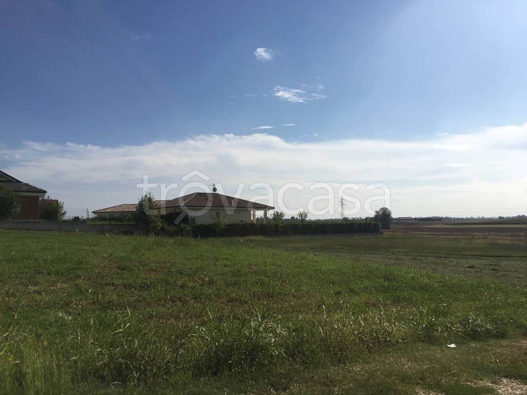 immagine annuncio 4 di 7