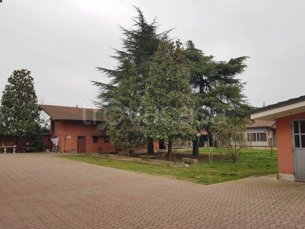 immagine annuncio 11 di 15