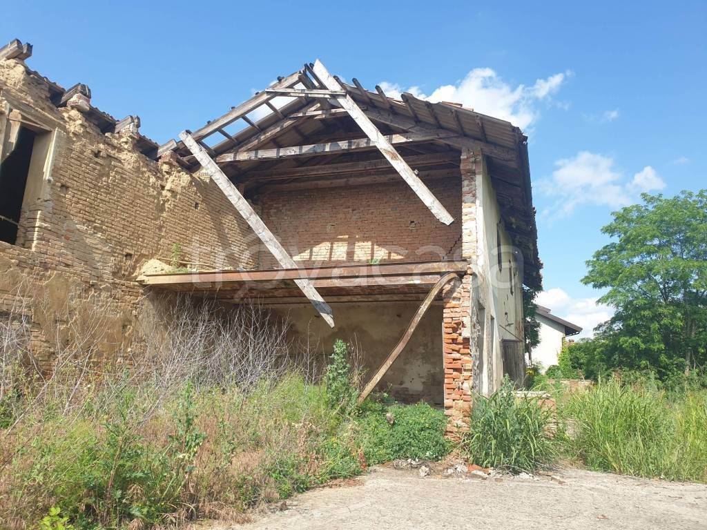 immagine annuncio 11 di 12