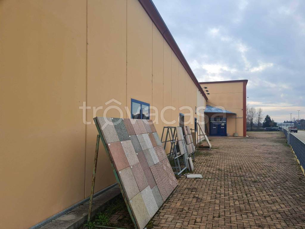 immagine annuncio 4 di 15