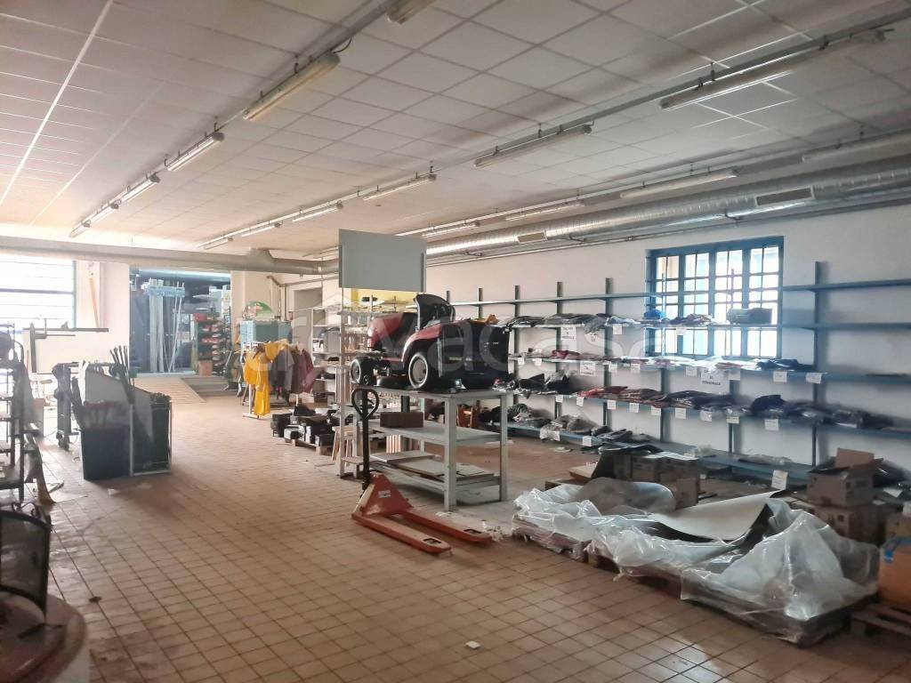 immagine annuncio 8 di 15