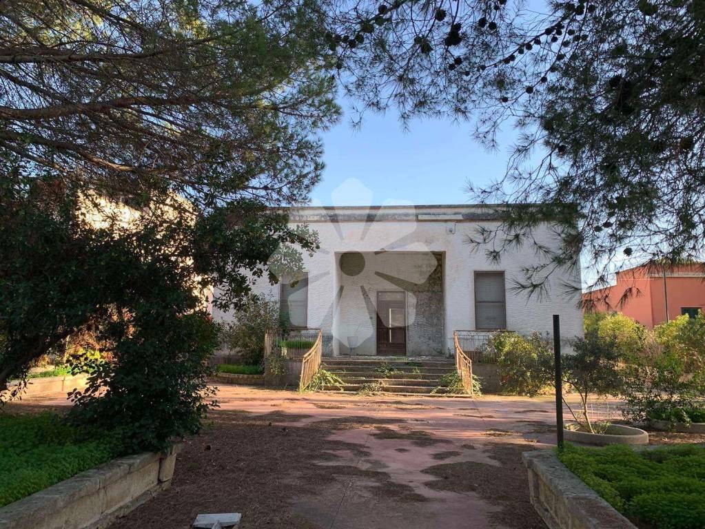 immagine annuncio 3 di 12