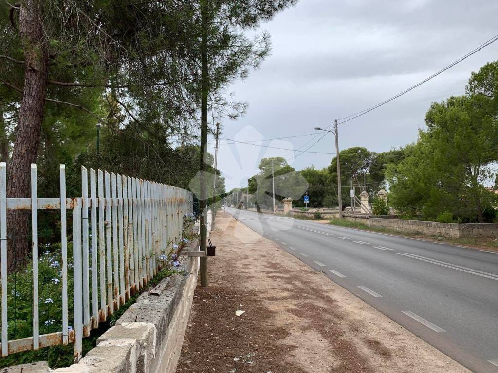 immagine annuncio 11 di 12