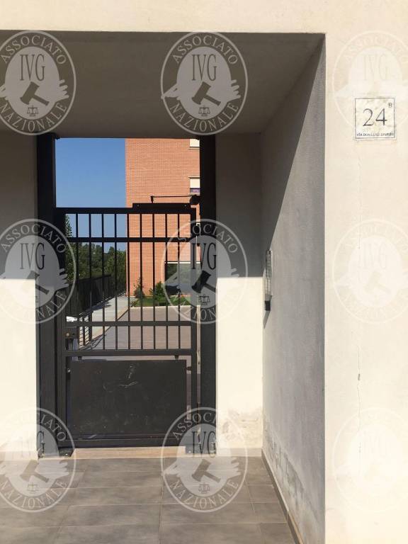 immagine annuncio 6 di 7