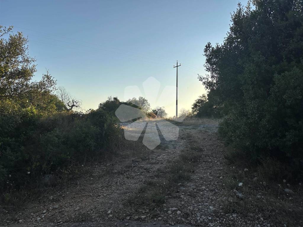 immagine annuncio 4 di 8