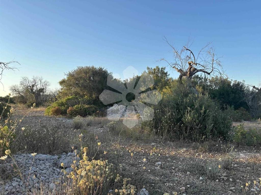 immagine annuncio 6 di 8