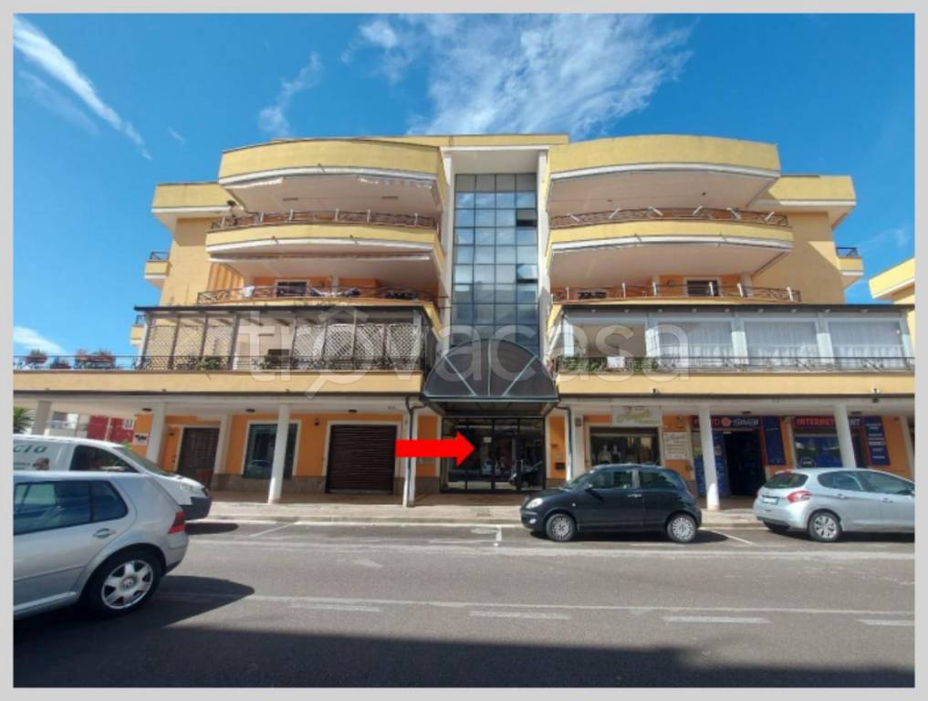 immagine annuncio 13 di 15