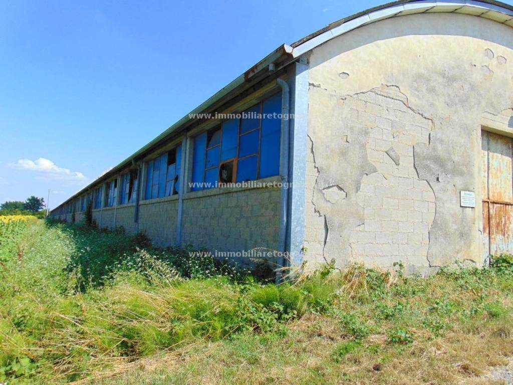 immagine annuncio 4 di 7