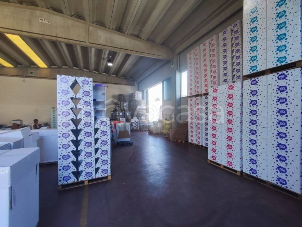 immagine annuncio 8 di 13