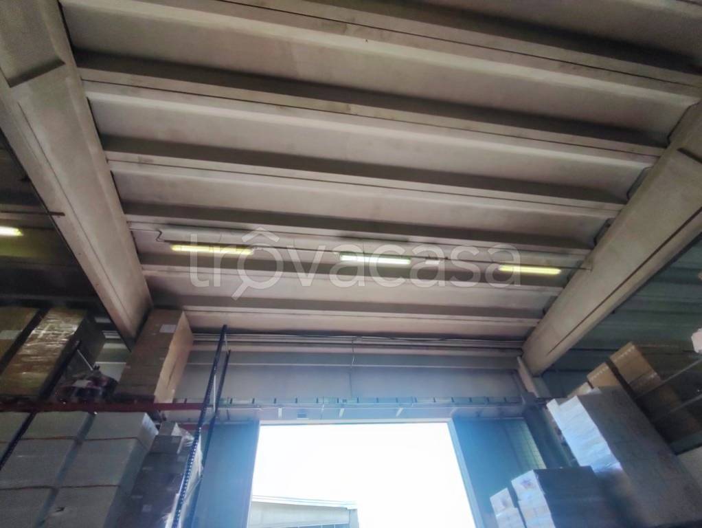 immagine annuncio 7 di 13