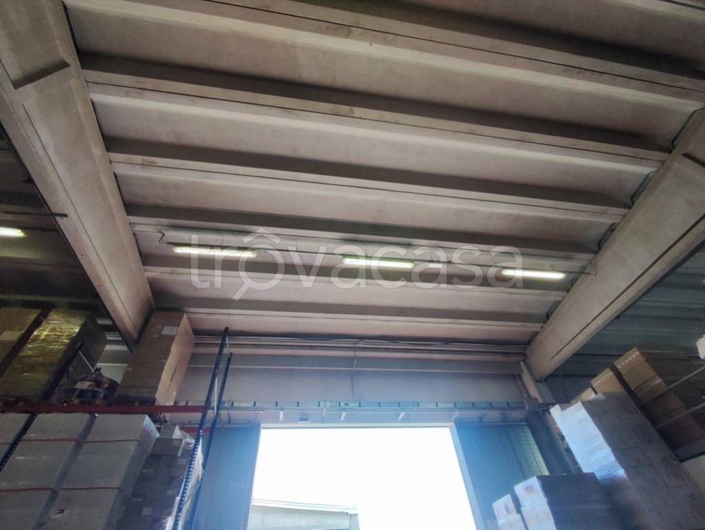 immagine annuncio 9 di 13