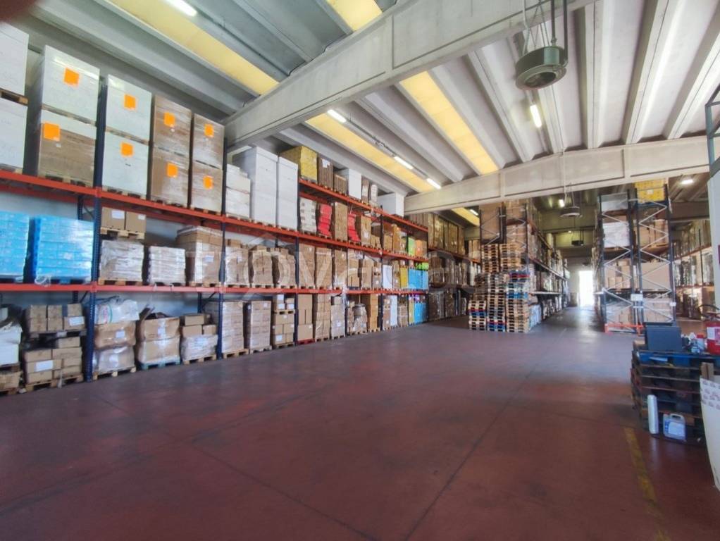 immagine annuncio 5 di 13