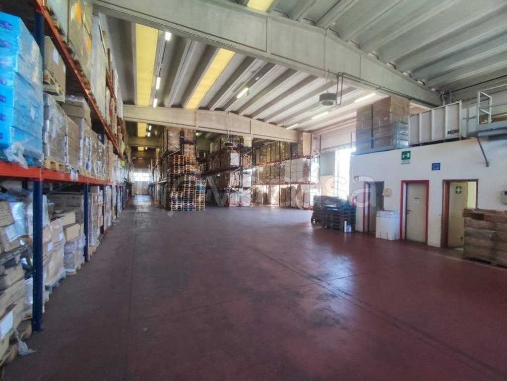 immagine annuncio 4 di 13