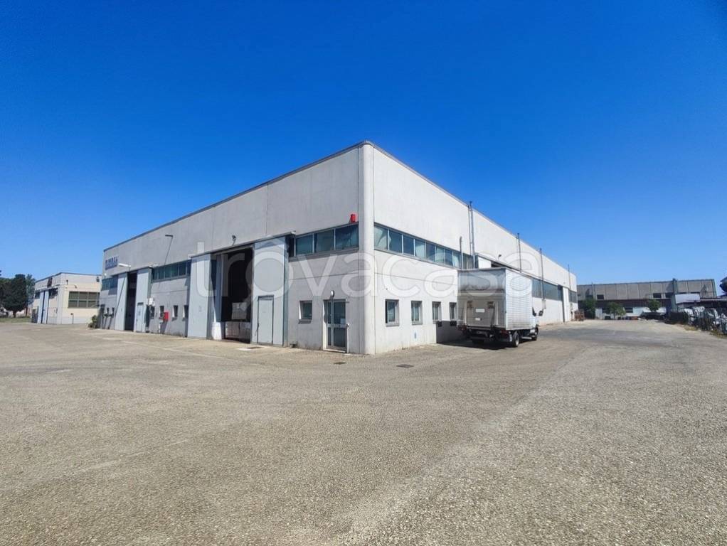 immagine annuncio 3 di 13