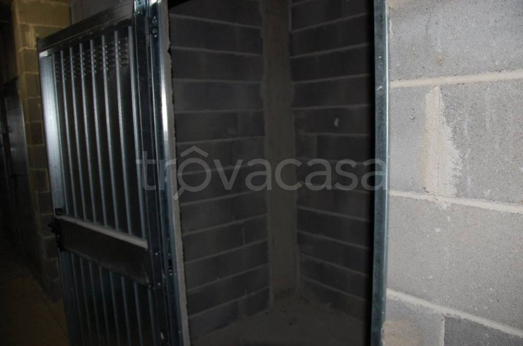 immagine annuncio 2 di 14