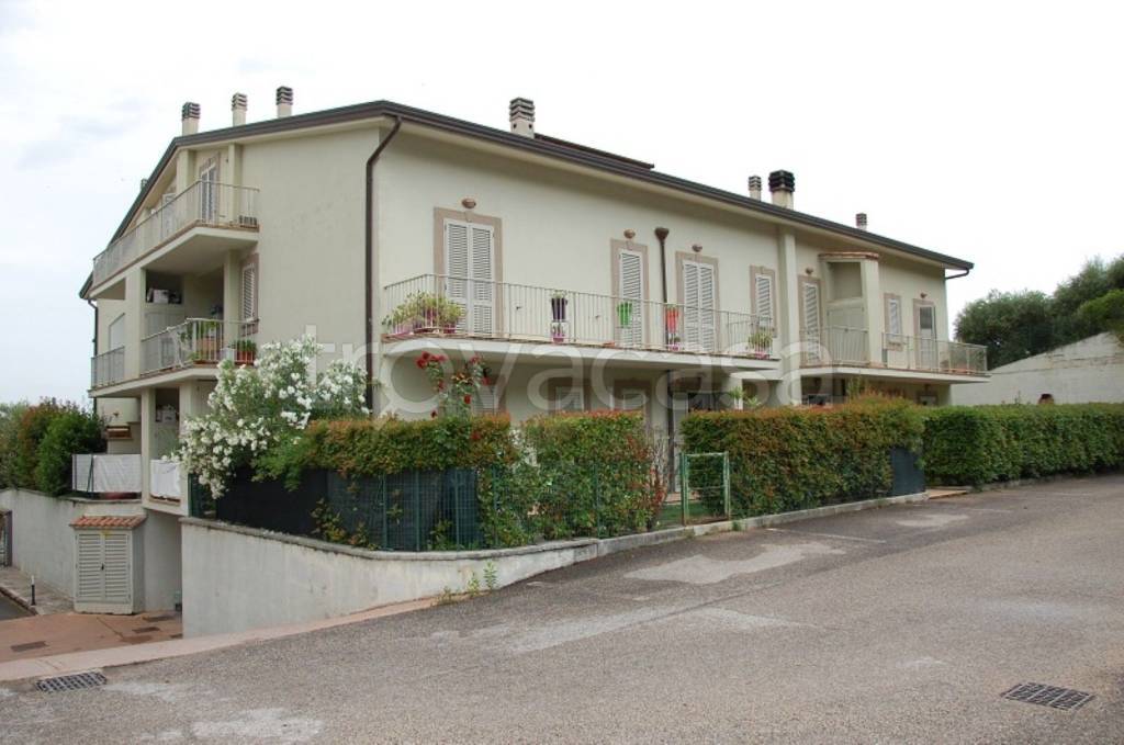 immagine annuncio 1 di 12