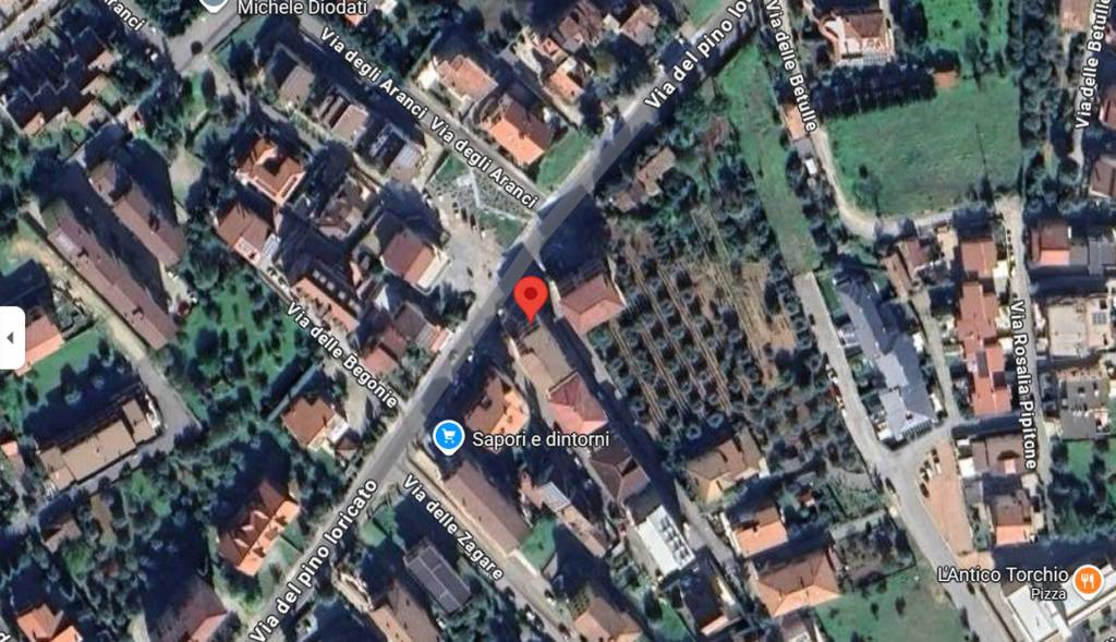 immagine annuncio 3 di 14